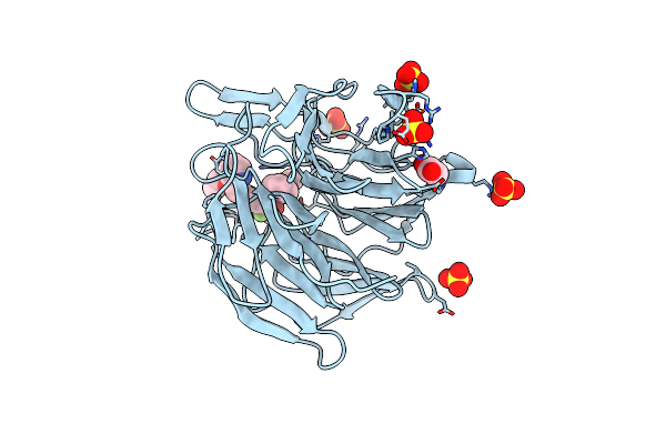 8XGV image