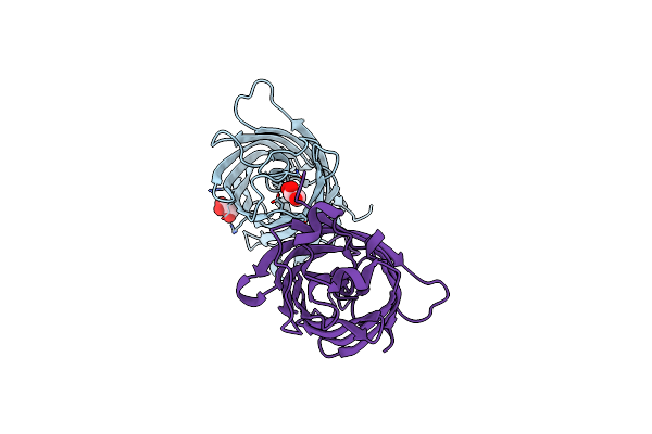 8XH2 image