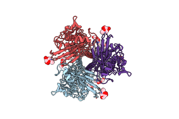 8XHF image