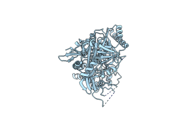 8XHS image