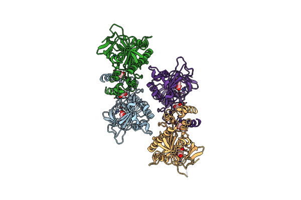 8XHT image