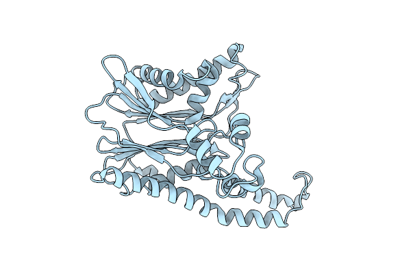8XI8 image