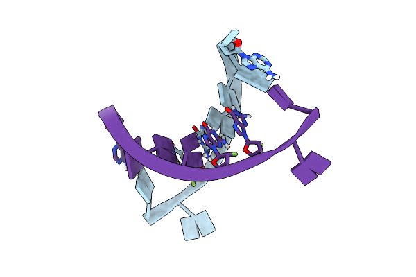8XIC image