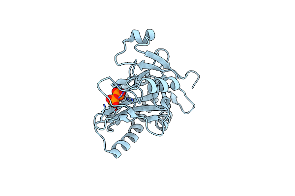8XIF image