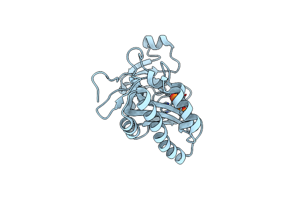 8XIG image