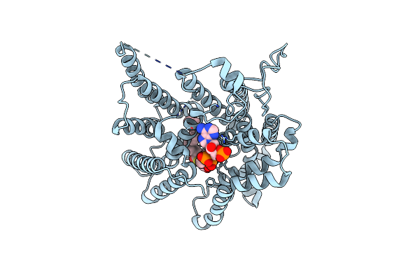 8XIJ image