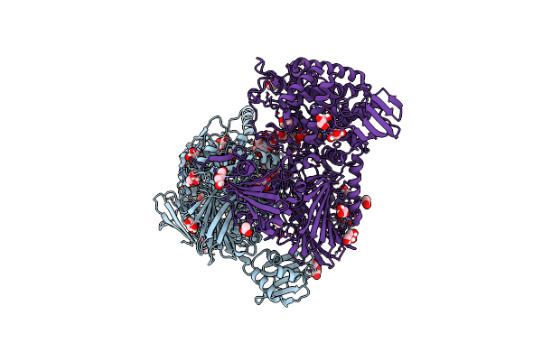 8XIL image