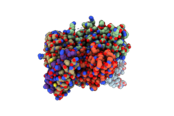 8XIP image