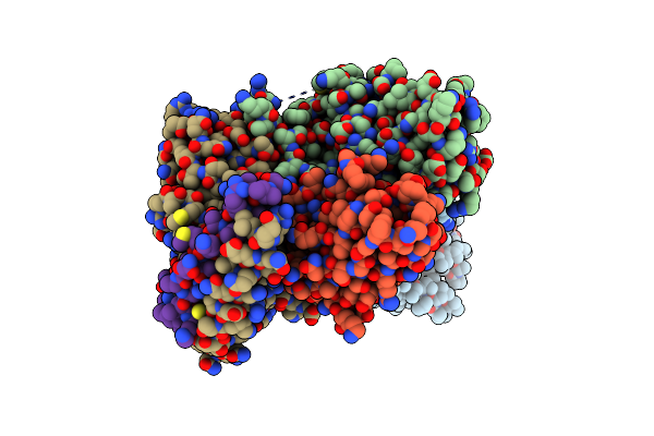 8XIR image