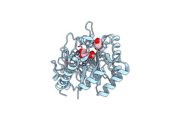8XIV image