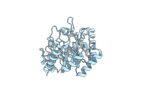 8XIX image