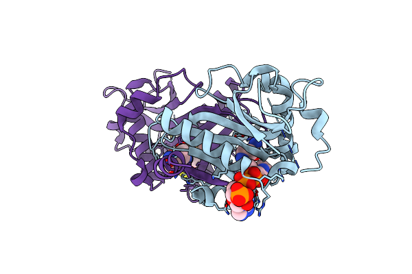 8XJ5 image