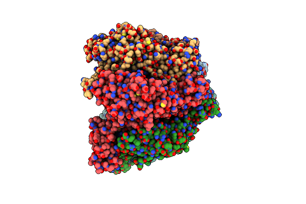 8XJ7 image