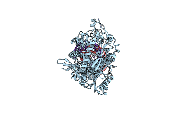 8XJX image