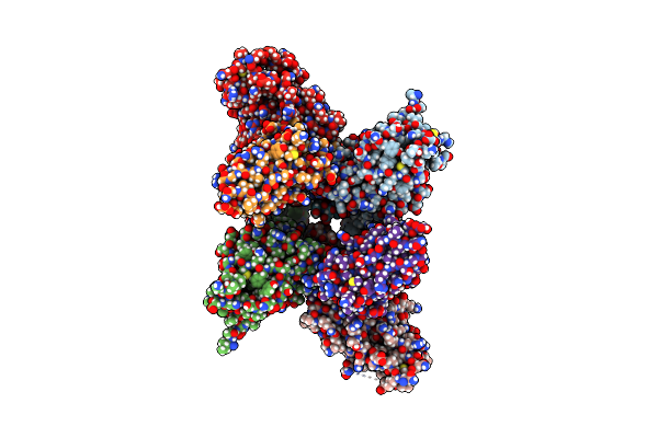8XK2 image