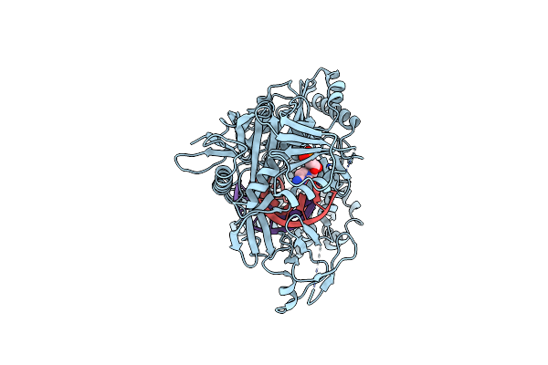 8XK4 image