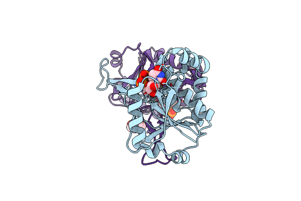 8XKD image