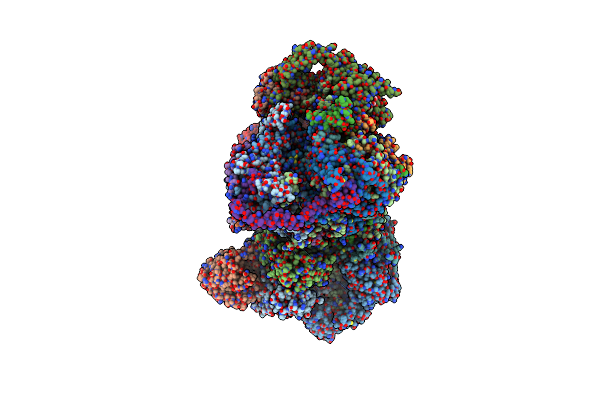 8XKS image