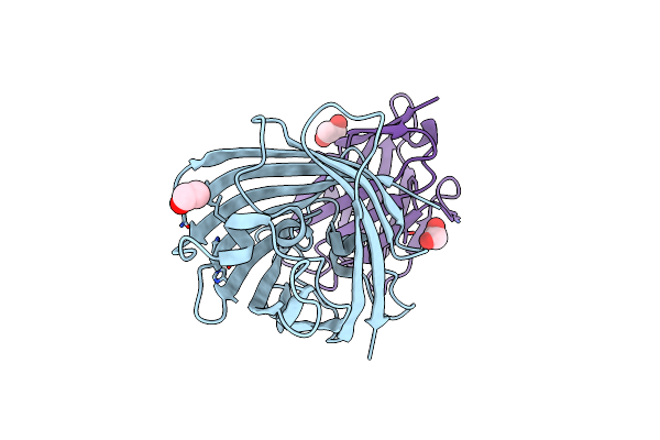 8XLD image