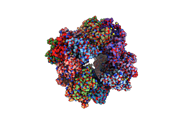8XLL image