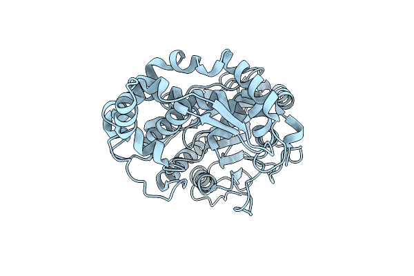 8XM2 image
