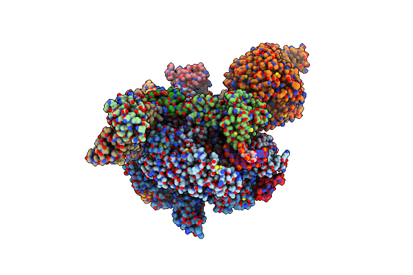 8XMC image