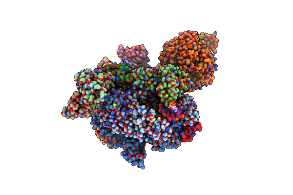 8XMD image
