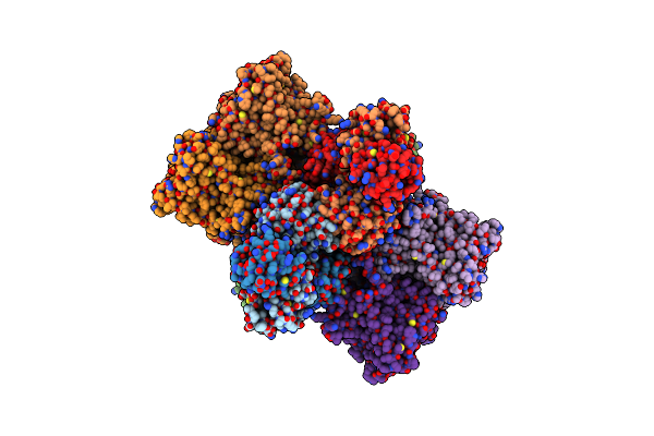 8XMI image