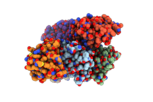 8XMS image