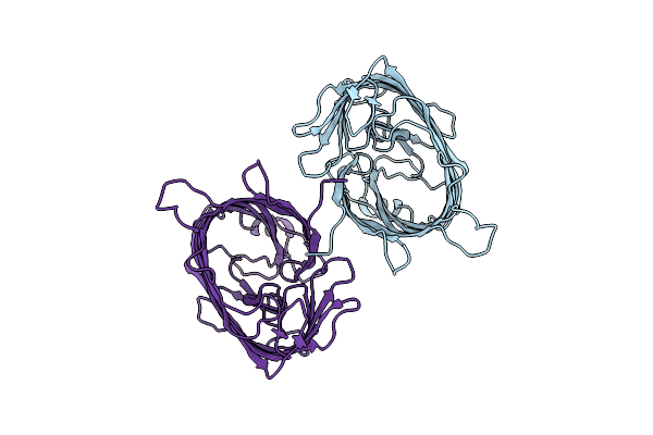 8XNB image