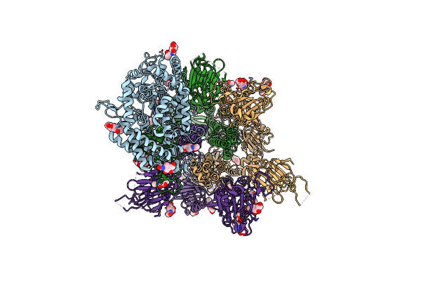 8XNF image