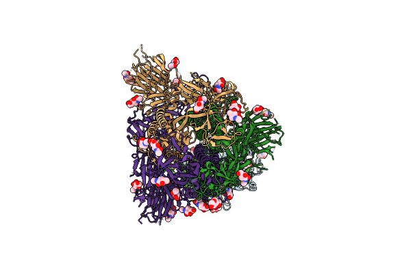 8XNK image