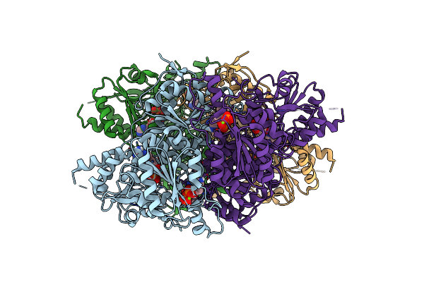 8XOD image