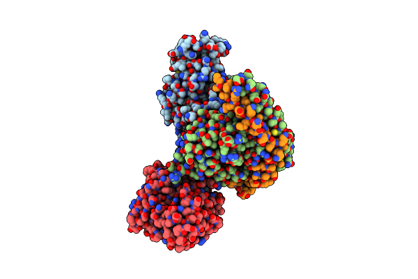 8XOG image