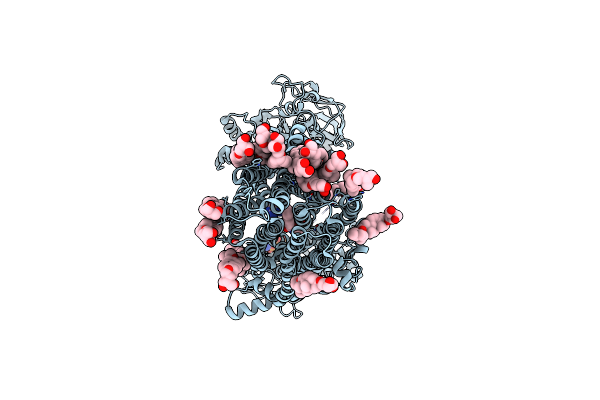 8XOM image
