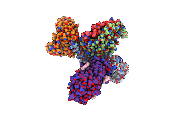 8XOR image