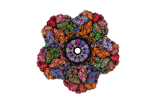 8XOU image
