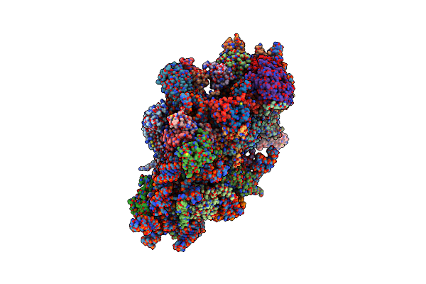 8XP3 image