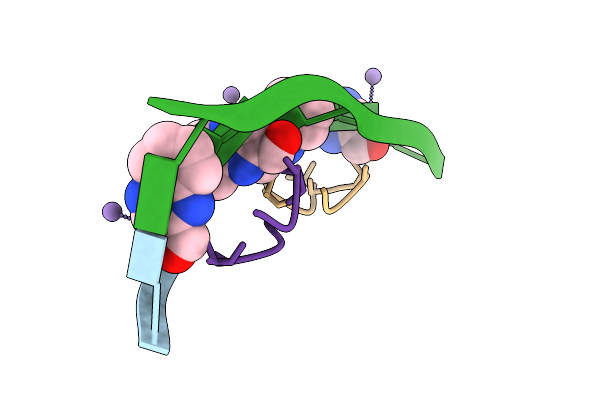 8XPB image