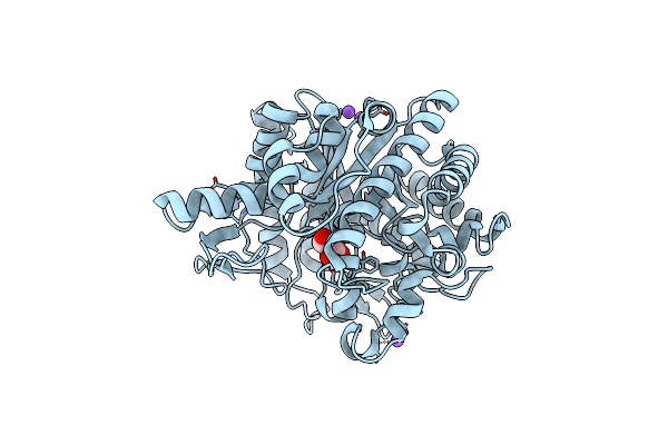 8XPC image