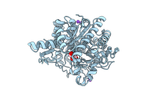 8XPD image