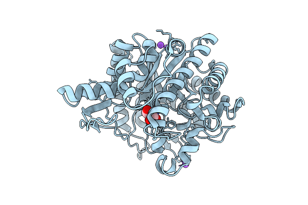 8XPE image