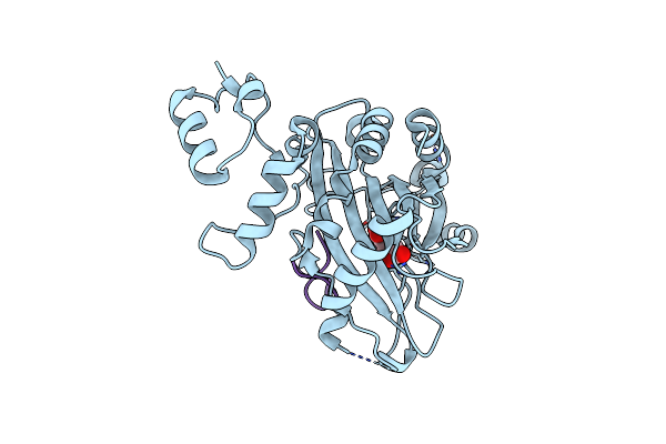 8XPF image