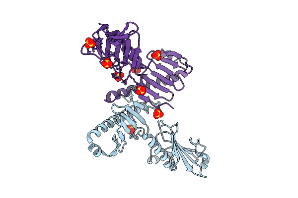 8XPG image