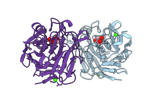 8XPH image