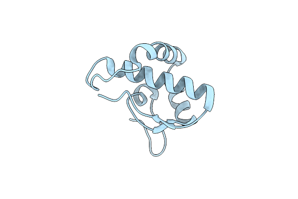 8XPI image