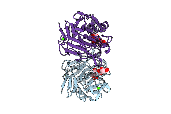 8XPK image