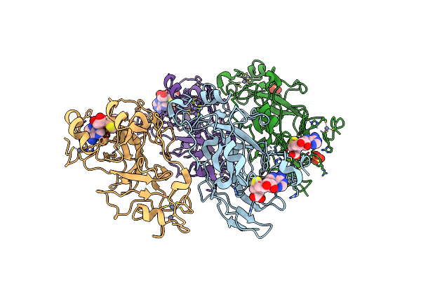 8XPT image