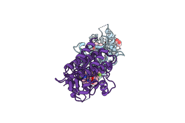 8XQ2 image