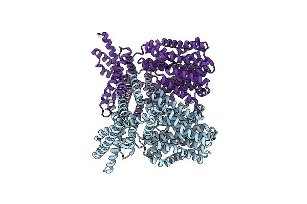 8XQA image